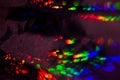 Dark abstract background with overflow, multicolored, rainbow bokeh and highlights. Royalty Free Stock Photo