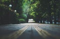 Dark alley, city boulevard surrounded by trees Royalty Free Stock Photo
