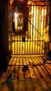 Dark alley gate night cat Cambodia