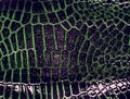 Dark alligator leather texture. Abstract background