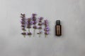 Dark amber glass bottle full of Essential oil and clary sage flowers, salvia sclarea, for aromatherapy. On light grey background