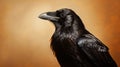 Dark Amber Raven: Realistic Portrait Drawing With Digital Airbrushing Royalty Free Stock Photo