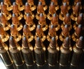 Dark Ammo Royalty Free Stock Photo