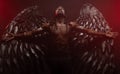 Dark angel with big wings isolated Royalty Free Stock Photo