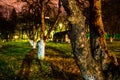 Dark apple orchard in the gorgeous summer evening