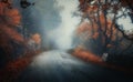 Dark autumn forest with rural road in fog at dusk Royalty Free Stock Photo