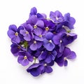 Dark Azure Violets: A Botanical Accuracy In Dansaekhwa Style