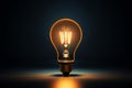 Dark backdrop accentuates the brilliance of a creative light bulb Royalty Free Stock Photo
