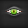 Dark Background with animal eye. Vector Royalty Free Stock Photo