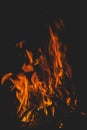 Dark background bonfire from branches in the fireplace . flame and sparks. Royalty Free Stock Photo