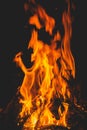 dark background bonfire from branches in the fireplace . flame and sparks Royalty Free Stock Photo