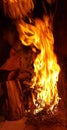 dark background bonfire from branches in the fireplace . flame and sparks. Royalty Free Stock Photo