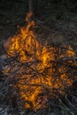 Dark background bonfire from branches. flame and sparks Royalty Free Stock Photo