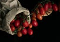 Cherry tomatoes with dark background