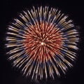 The dark background, emphasizing the intricate structure of the firework Royalty Free Stock Photo