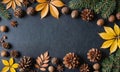 A dark background is framed by fall leaves, pine branches, and pine cones Royalty Free Stock Photo