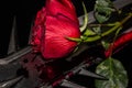 dark background with a red rose with a green stem resting on a black surface flanked by a sword