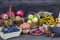 Autumn harvest of berries, fruits, vegetables and a bouquet of yellow flowers. Royalty Free Stock Photo