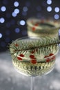 on a dark background there are two transparent figured glasses with champagne, decorated with a Christmas tree branch. holiday Royalty Free Stock Photo