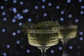 on a dark background there are two transparent figured glasses with champagne, decorated with a Christmas tree branch. holiday Royalty Free Stock Photo