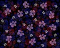 Dark Background with Transparent Flowers on Black.