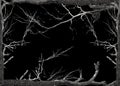 Dark background with tree trunk and branches borders Royalty Free Stock Photo
