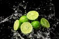 Fresh limes with water splashes on dark background Royalty Free Stock Photo