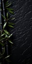 Dark Bamboo Leaves On Black Background: Kintsugi-inspired Organic Sculpted Textures Royalty Free Stock Photo