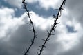 Dark barbed wire lines on a dramatic grey blue sky background, captivity, jail or prison, labor or concentration camps abstract Royalty Free Stock Photo