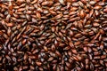 Dark barley malt Royalty Free Stock Photo