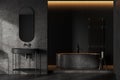 Dark bathroom interior with sink, bathtub with accessories and rail ladder