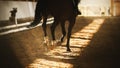 A dark Bay fast horse with a black tail and a rider in the saddle runs hooves on a sandy covered arena