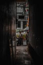 A dark and beautiful alley in Indonesia