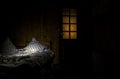 Dark bedroom with bed and pillows surreal lights and wooden door with window.