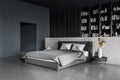 Dark bedroom interior, grey bed with linens and coffee table, bookshelf on background