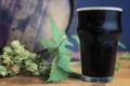 Glass of stout on a wooden table with leaves of hop against the background of barrels