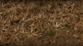 Dark Beige Earthworks: Uhd Image Of Old Grasses On Wood Texture