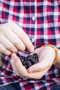 Dark berry in the hands of a teenage girl in a plaid shirt
