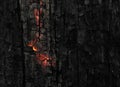 Dark black background of burnt wood with red hot embers still burning