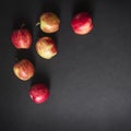 On a dark black background red yellow apples frame view from above flat lay square Royalty Free Stock Photo