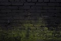 Dark black beautiful old brick wall with bright green moss texture background Royalty Free Stock Photo