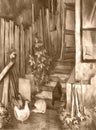 Chickens in the yard near the barn. Pencil drawing