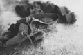 Dark black jean denim fabric scraps laying on a wooden table surface in black and white noir color palette