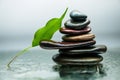Dark or black rocks on water, background for spa, relax or wellness therapy