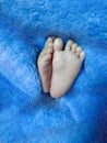 Dark blue blanket in Newborn baby a feet covered Royalty Free Stock Photo