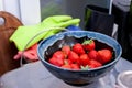 Dark blue bowl of strawberries in a kitchen Royalty Free Stock Photo