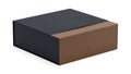 Dark Blue and Brown Two- Tone Rectangular Gift Box with Lid Slightly Ajar packaging present Royalty Free Stock Photo