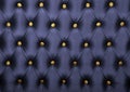 Dark blue capitone with golden buttons texture