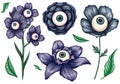 Dark blue creepy Halloween flowers with eyeballs, Halloween design elements, scary botanica