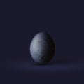 Dark blue easter egg on dark background Royalty Free Stock Photo